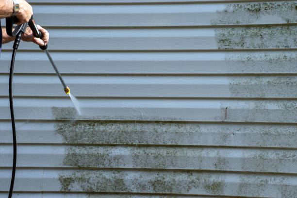 Best Custom Trim and Detailing for Siding  in Boonville, CA